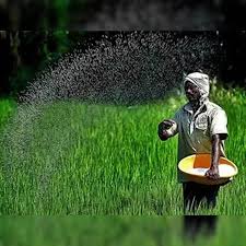 About MAPL Agro Limited